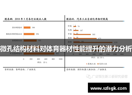 微孔结构材料对体育器材性能提升的潜力分析