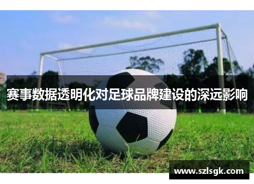 赛事数据透明化对足球品牌建设的深远影响